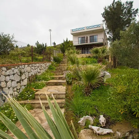 Panorama Selimiye